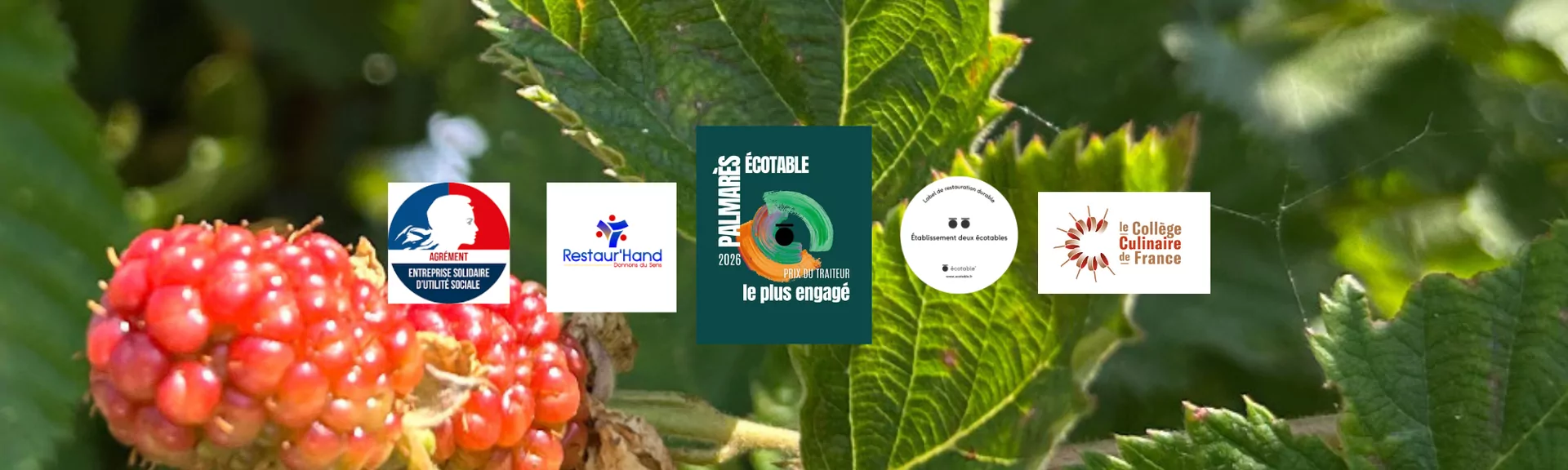 Bandeau réunissant les logos de nos labels et agréments